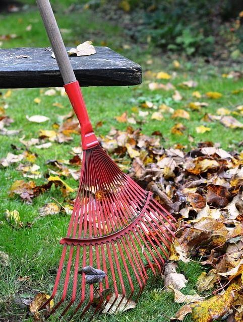 rake-2876079_960_720