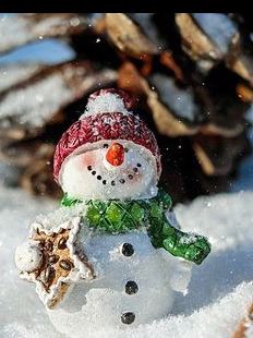 snow-man-1882635__340