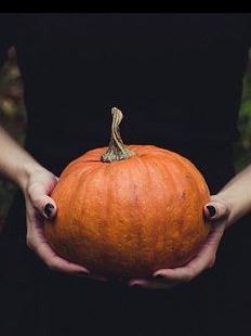 pumpkin-1838545__340