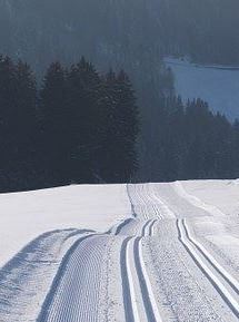 cross-country-skiing-113018__340