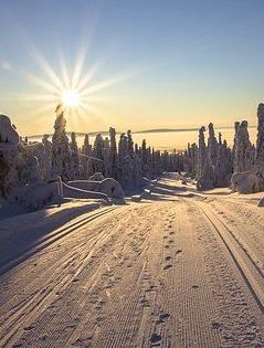 finland-2215318__340