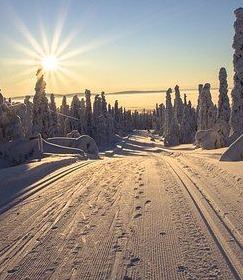 finland-2215318__340