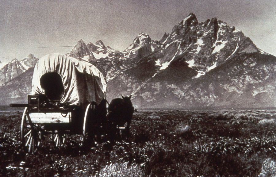 A Horse Tied to a Wagon in a Farm near Mountains