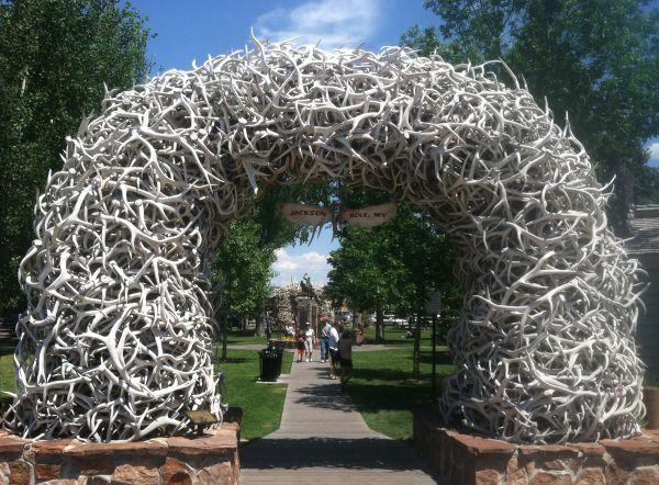 Town Square Antler Arch Art