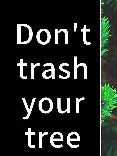 81039592_10157213130619132_924907600737206272_n