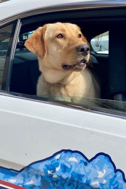 Webp.net-resizeimage (3)