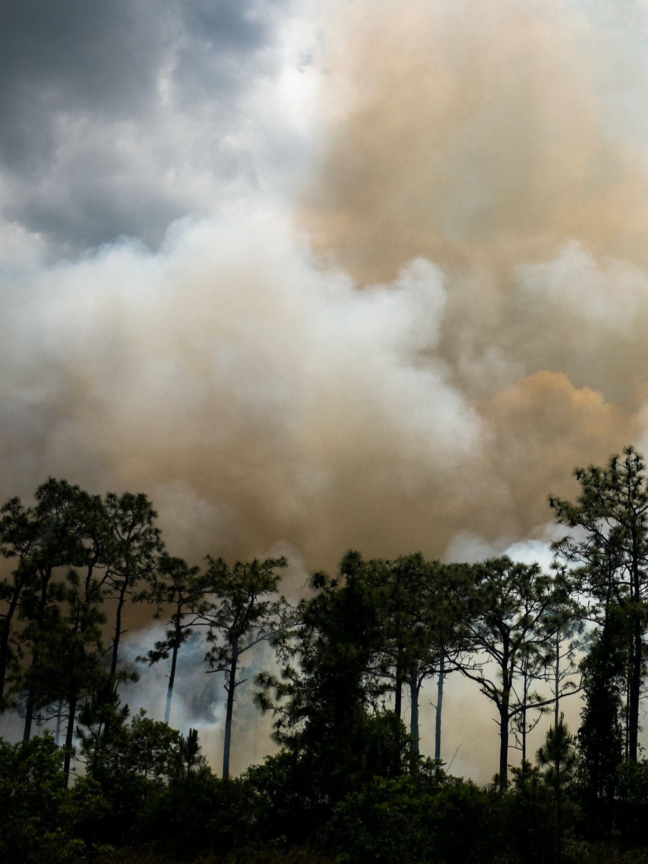 ryan-arnst-q_oAQezJr9U-unsplash