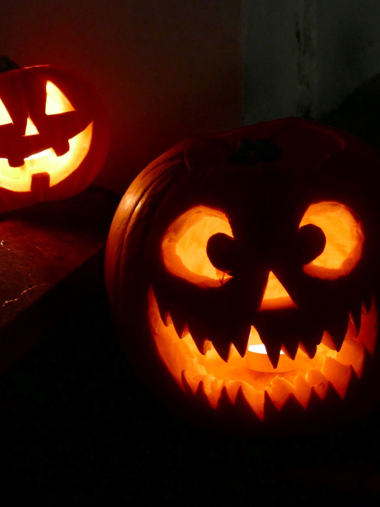 call-me-fred-n5HFOaU-avs-unsplash