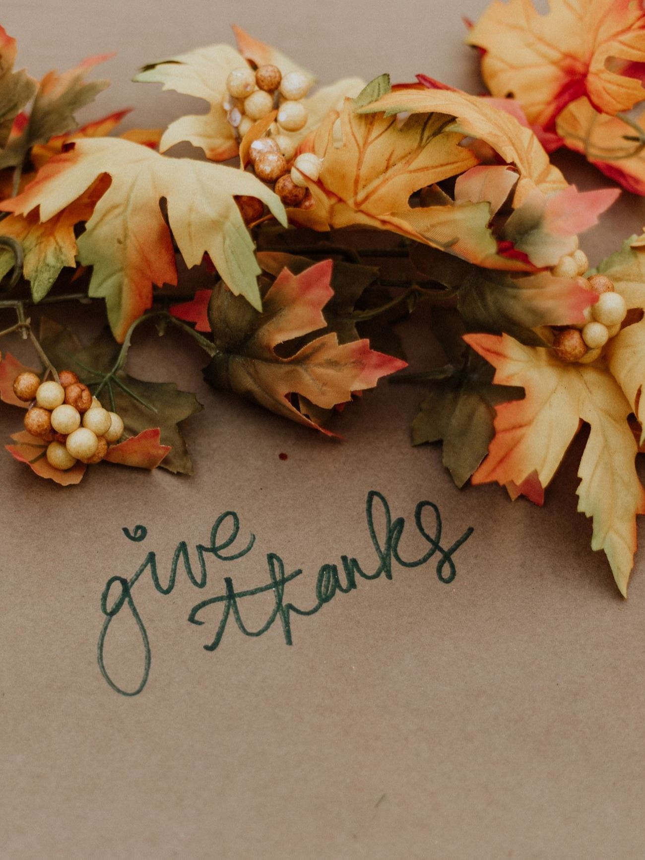 priscilla-du-preez-bJPn27RFg0Y-unsplash