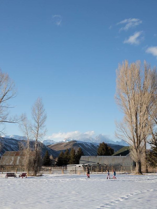 May Park Winter Kids in Distance winter