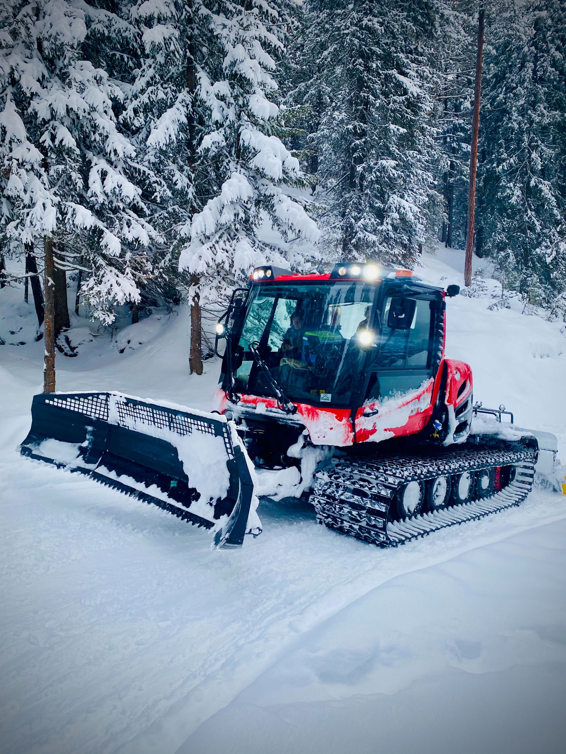 arno-senoner-sZCVOWcbVDo-unsplash