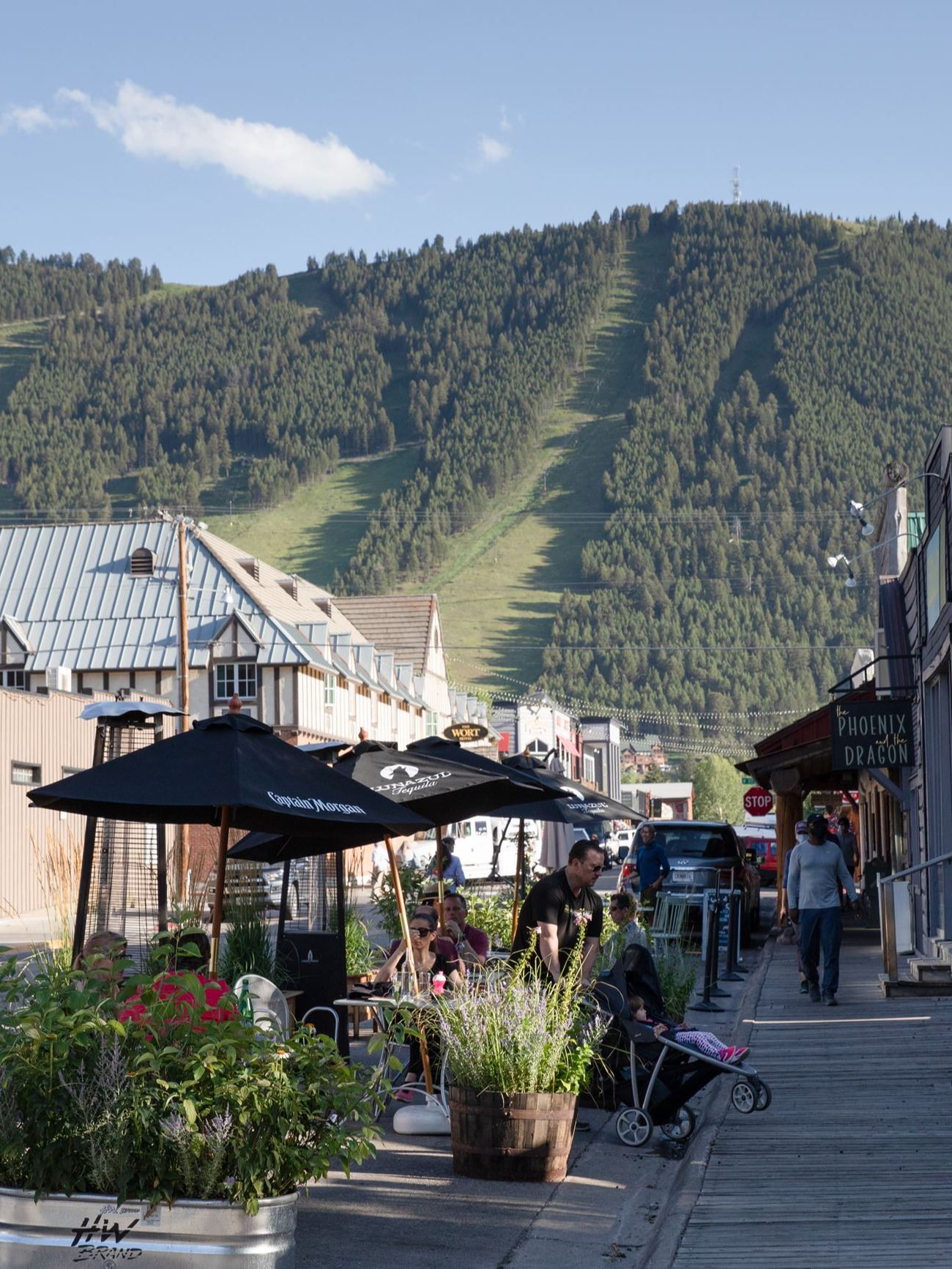 Phonix and Dragon (like)