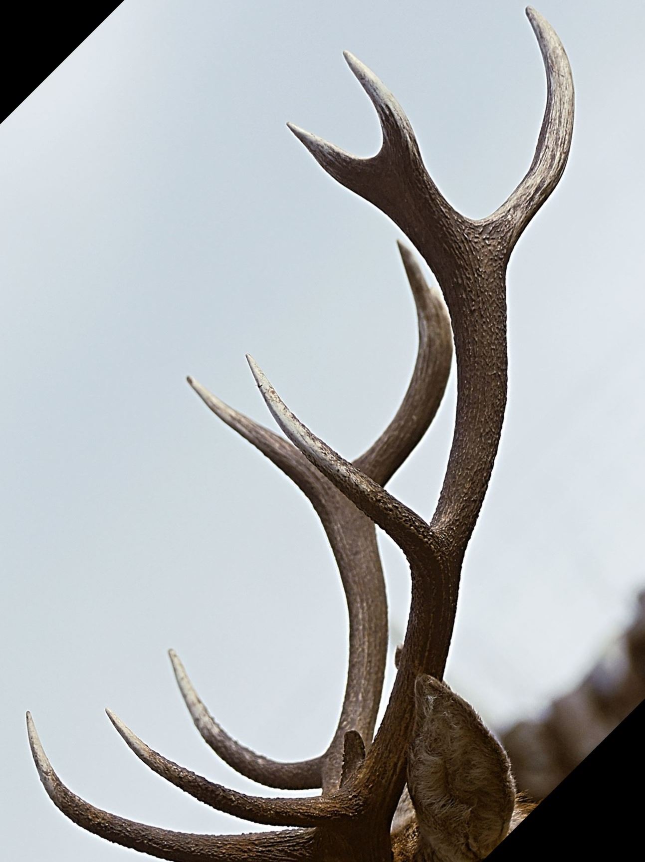 livin4wheel-flq9q_gNAAc-unsplash