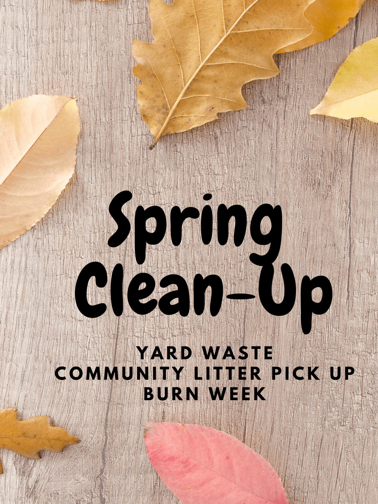 Spring Clean-Up