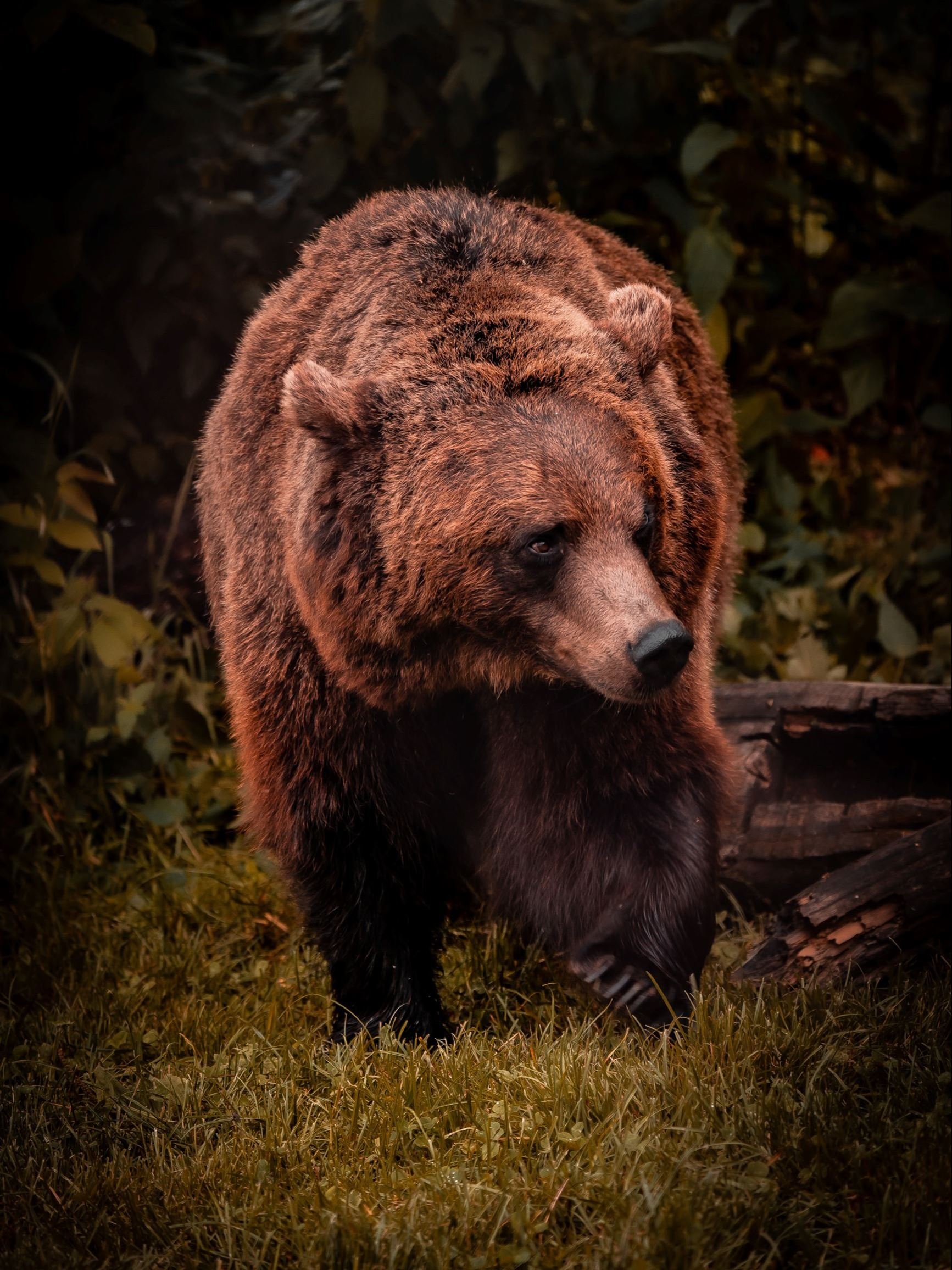 daniel-diesenreither-z4yzSsH5EAo-unsplash