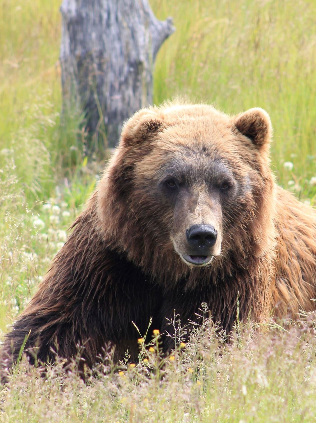 elizabeth-meyers-c8XlAc1akIU-unsplash