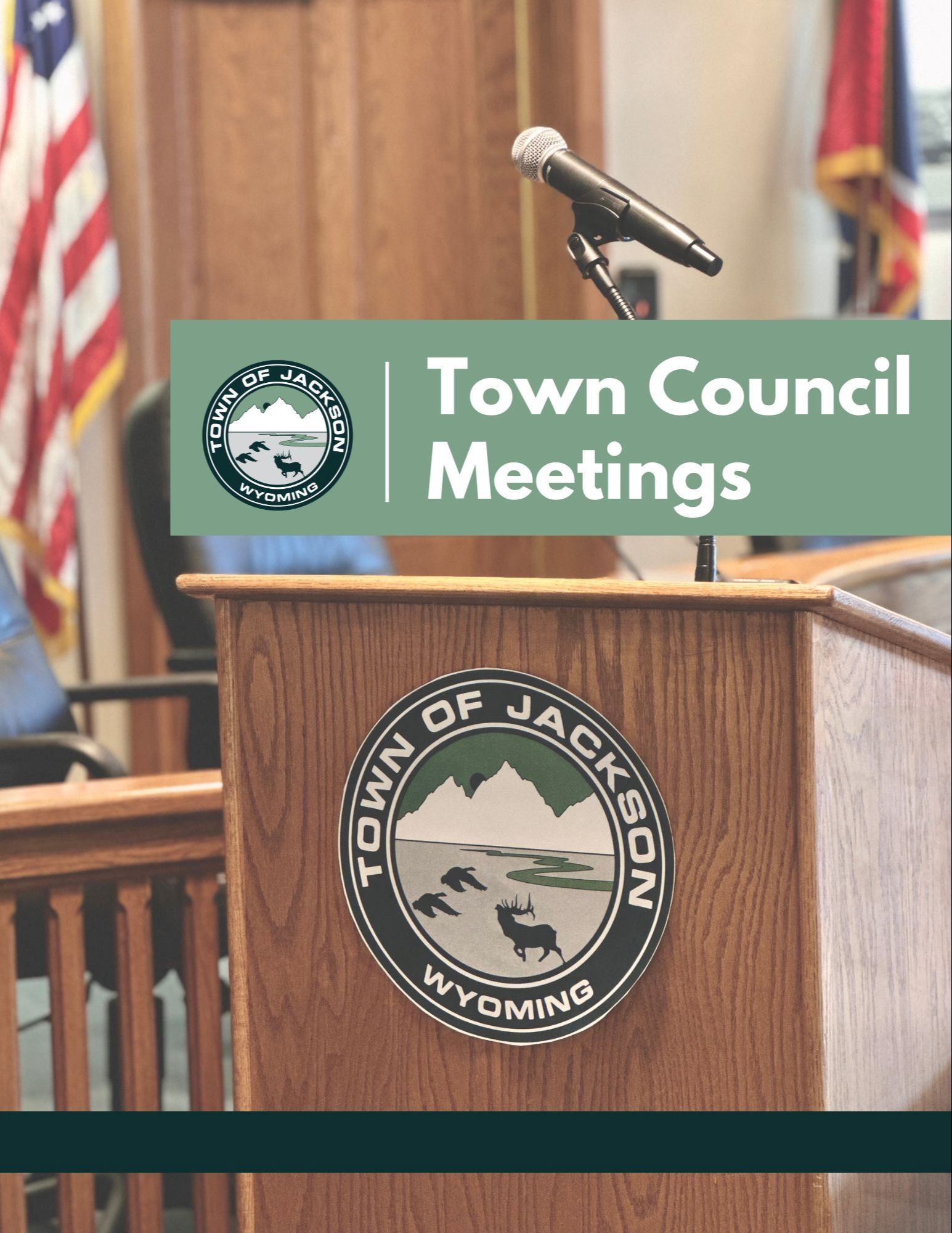 Council Meetings NewsFlash