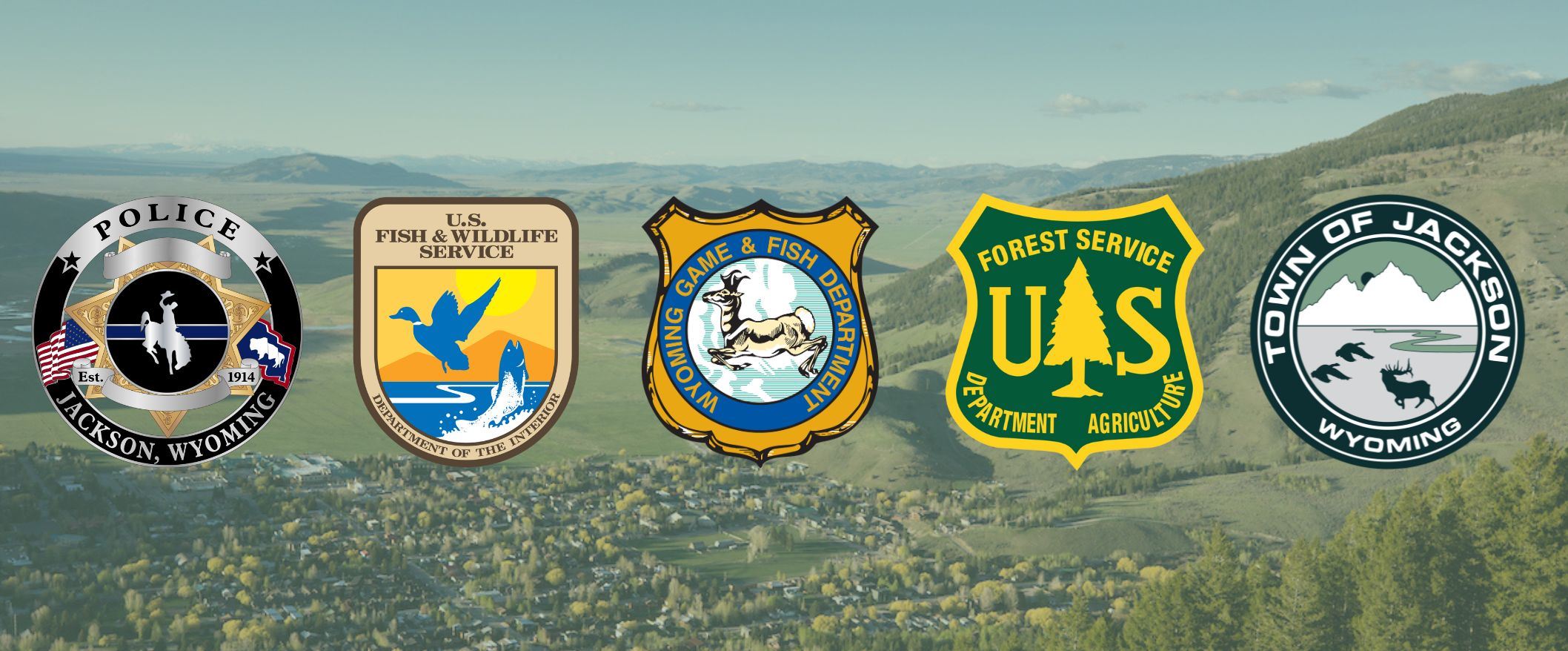 Copy of Monthly Newsletter Header