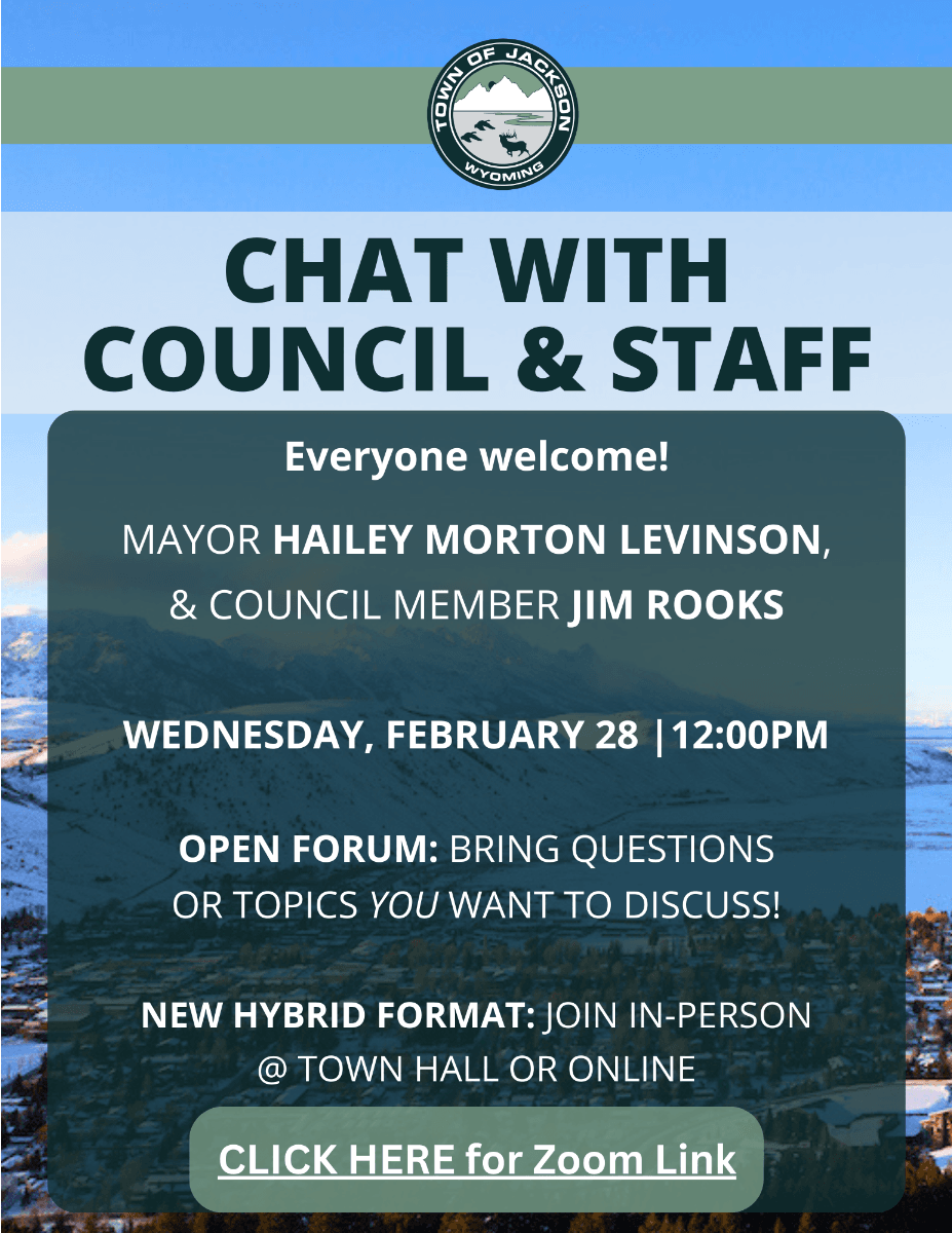 Chat with Council