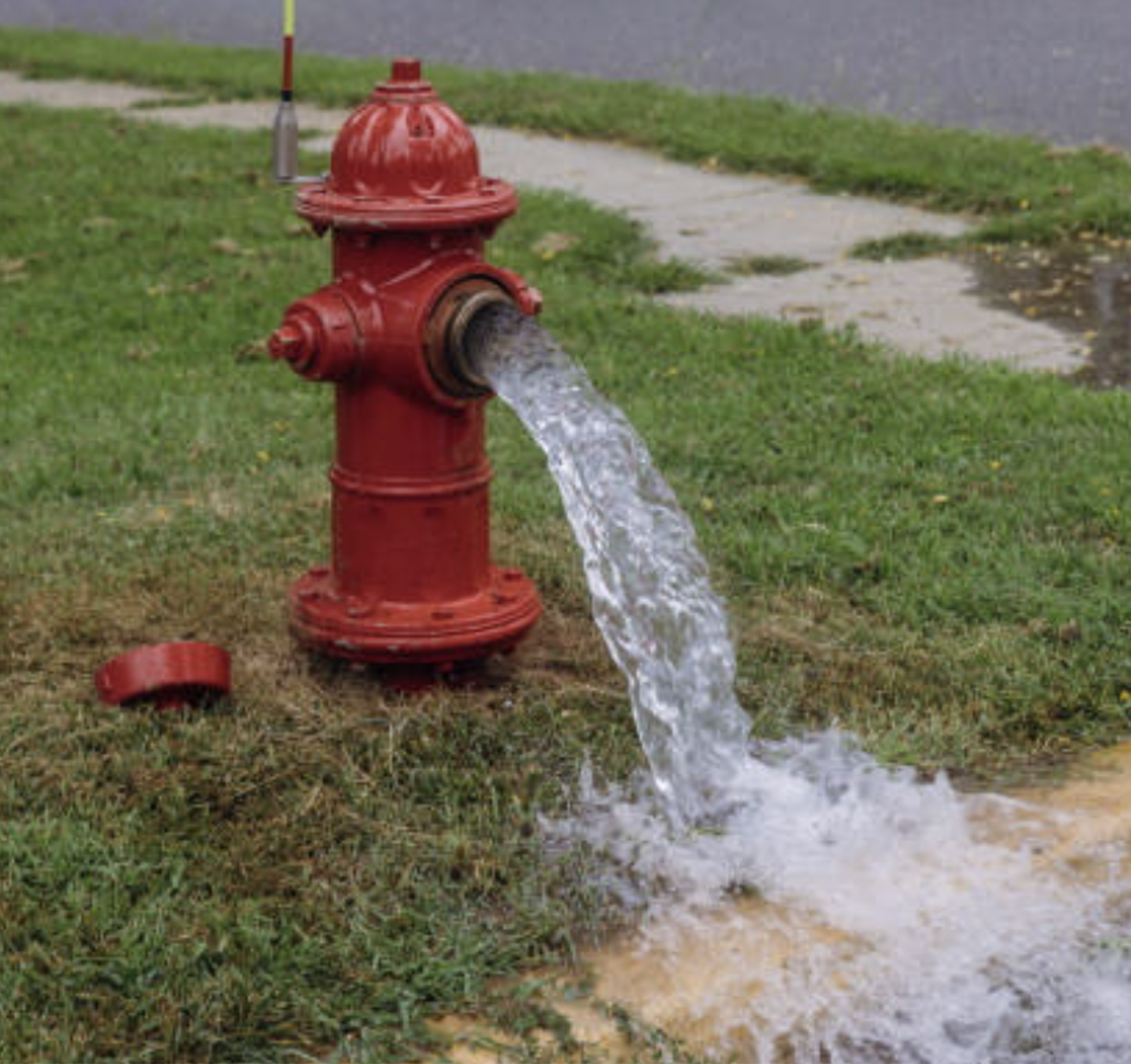 2404 Fire Hydrant