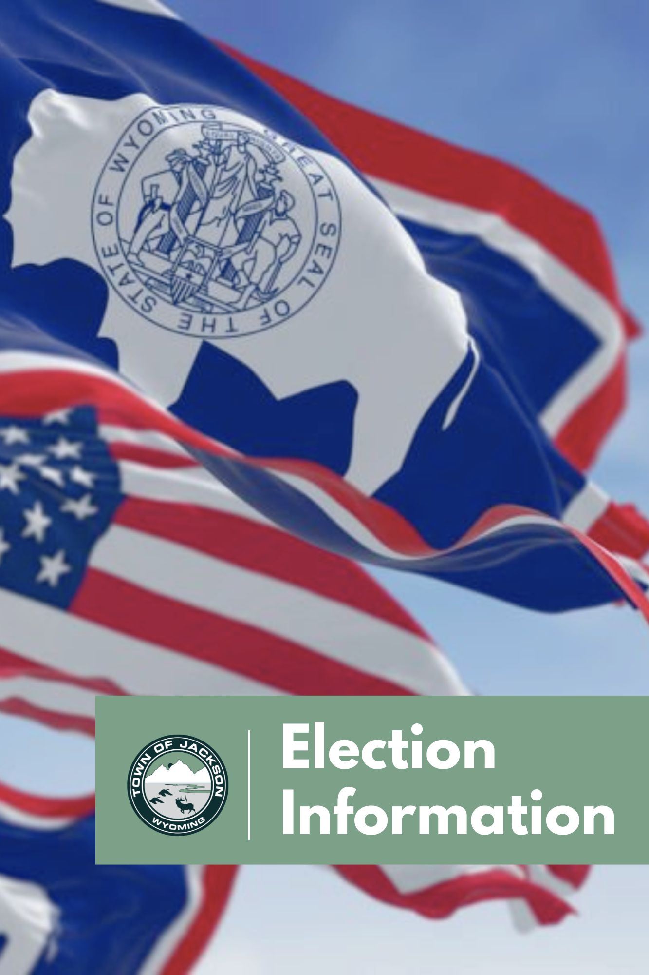 Newsletter NewsFlash (8 x 10 in) (6)