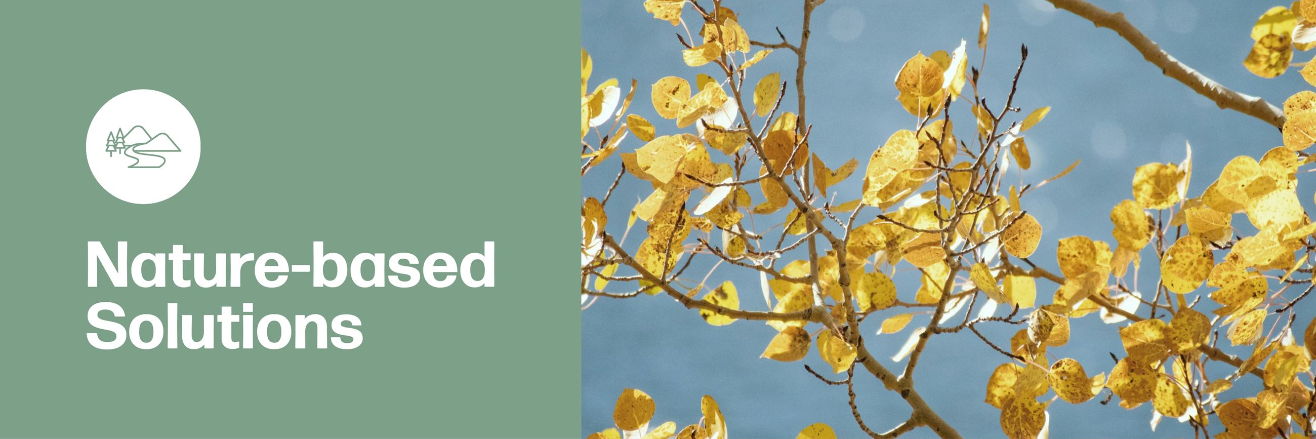 Town Of Jackson Sustainability Plan Nature Based Solutions Header