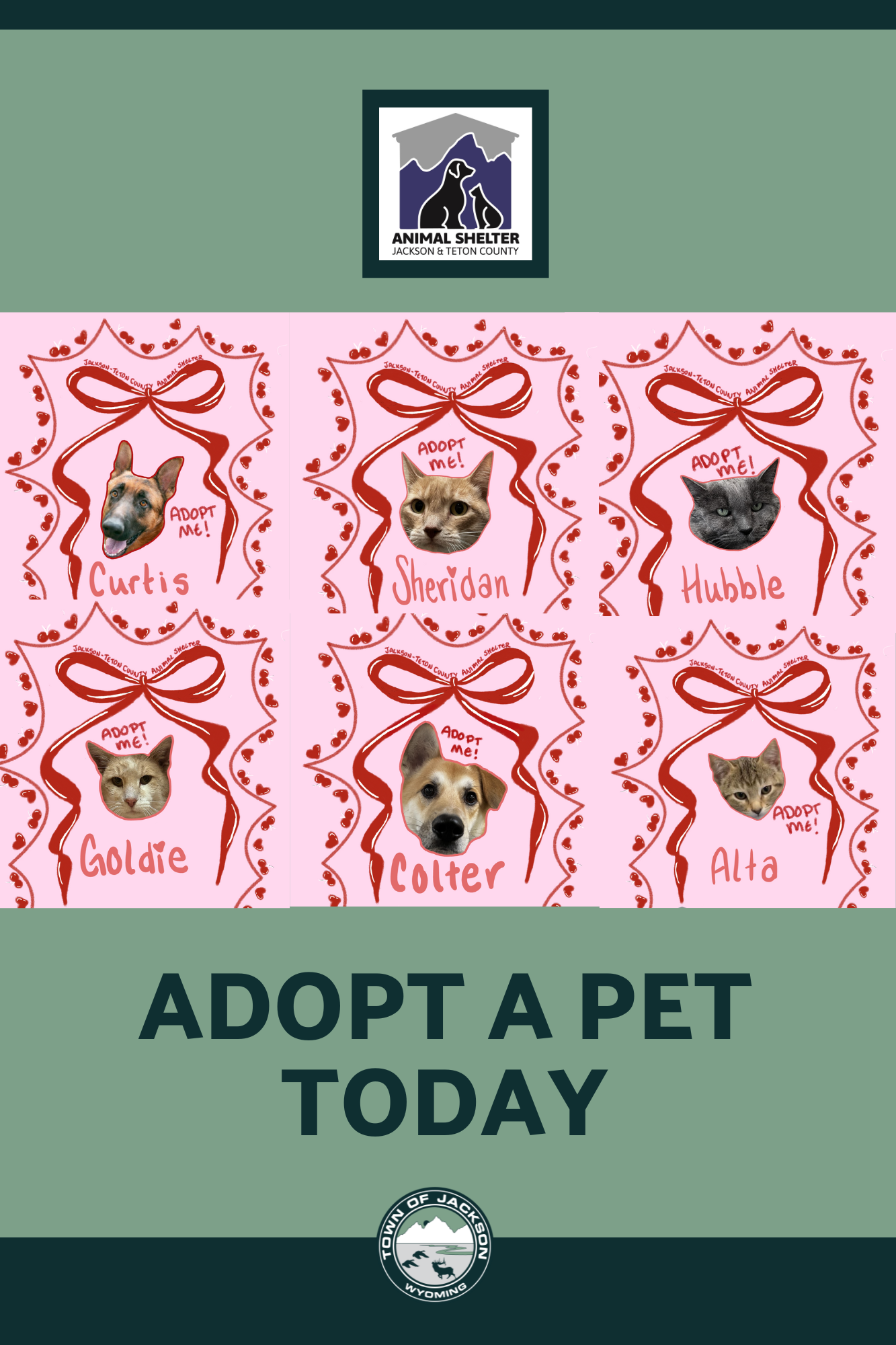 _ToJSite_AnimalShelter