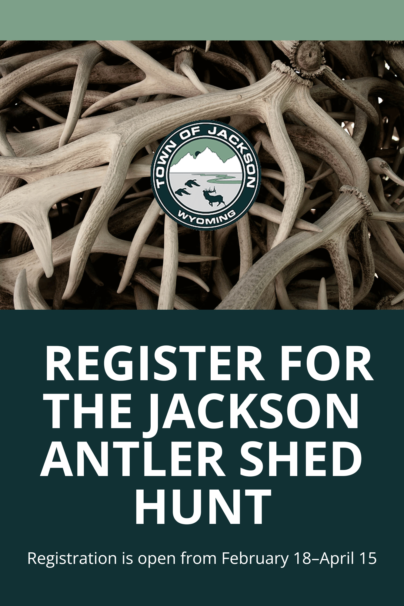 Shed Hunt News Flash (1333 x 2000 px)