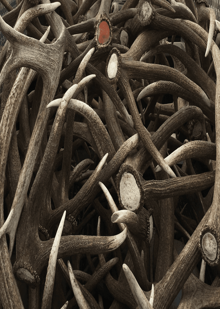 4FA77C3E-018D-4CD2-A960-A24CA2AB7C55